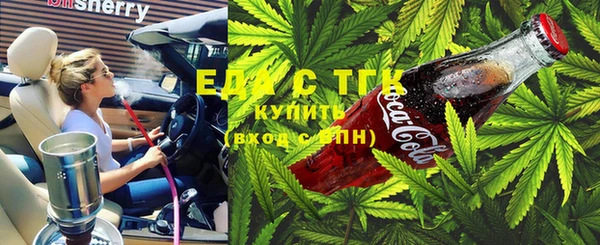 гидра Магас