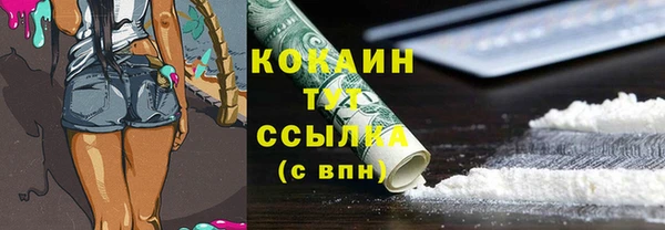 гидра Магас