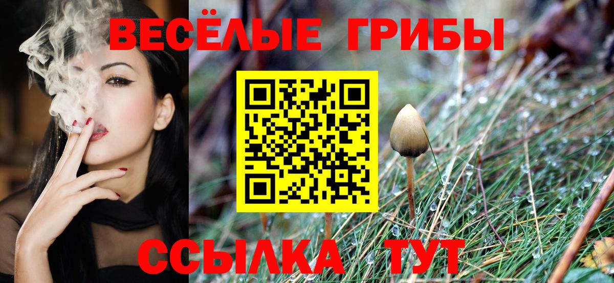 ГАШ  Малгобек  МЕФ кристаллы  Вход с VPN  Канабис 