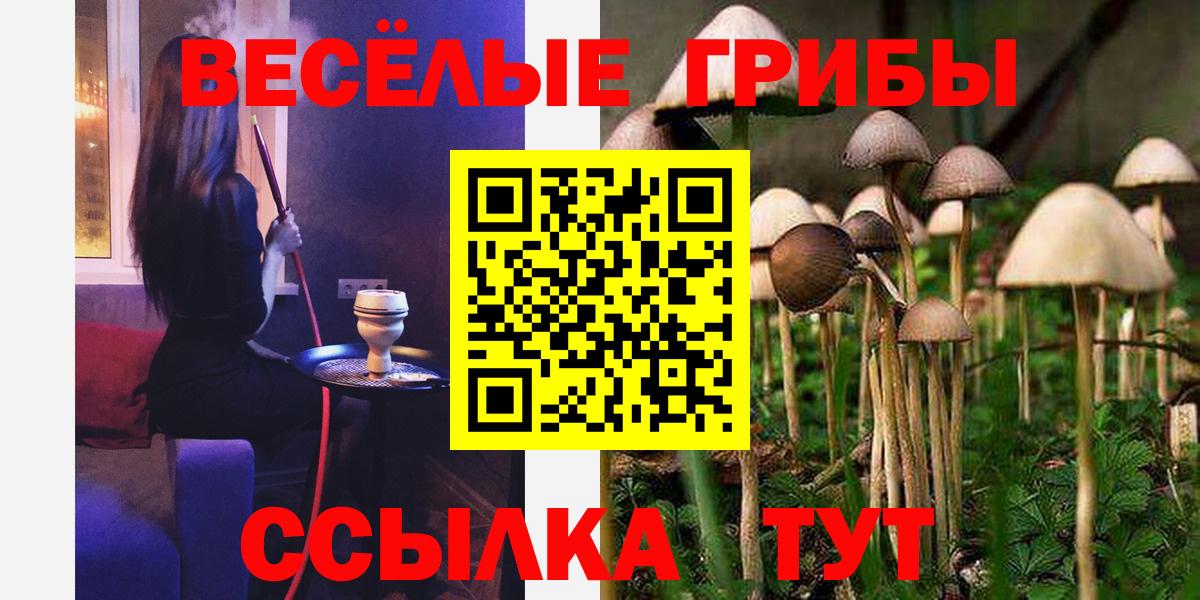 Псилоцибиновые грибы MAGIC MUSHROOMS Малгобек